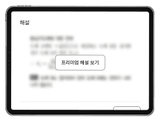 프리미엄 해설